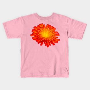 Hawkweed flower Kids T-Shirt